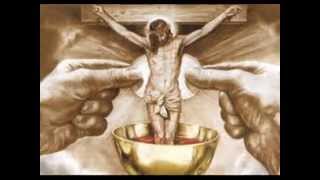 Pequeñito quiso ser.