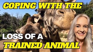 Coping With The Loss of a Trained Animal
