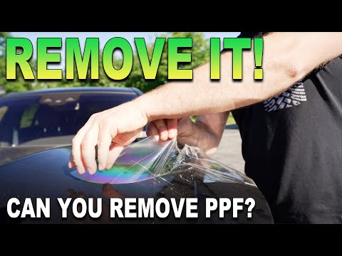 🚫 DO NOT Remove Paint Protection Film Before Watching This