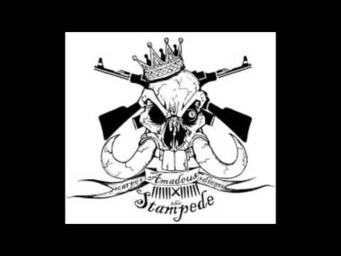 Amadeus The Stampede - Ultimate High - Amadeus The Stampede