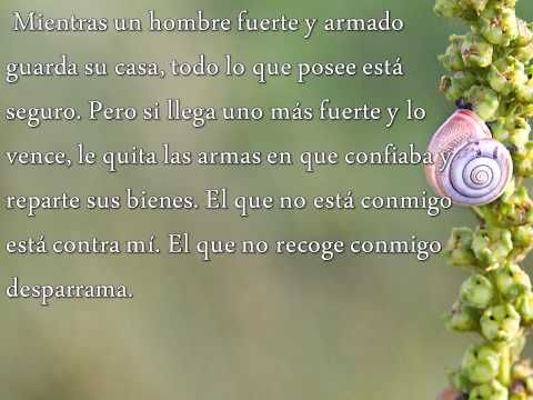 Evangelio del Viernes 10 de Octubre del 2014