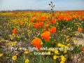 Jesus Take Me to Your Garden (w/lyrics) - Carole Solway