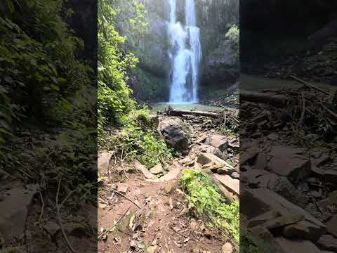 Descubra a Cascata da Baleia: A Queda d’Água que Parece uma Obra de Arte! #riograndedosul #ilopolis
