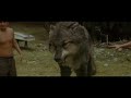 Twilight Wolves Superhero