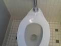 Toilet Flush