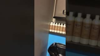 Bird startles me in salon