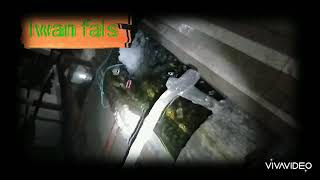 Download lagu Story' wa Iwan fals || ikan - ikan mp3 Download lagu Story' wa Iwan fals || ikan - ikan mp3