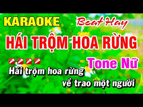 Karaoke Hái Hoa Rừng Cho Em (Beat Hay) Tone Nữ Nhạc Sống | Hoài Phong Organ