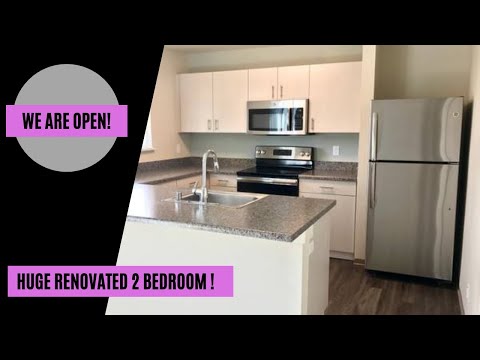 Renovated 2 Bedroom- 2 Bathroom with 1040sq