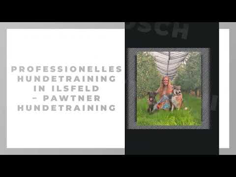 PAWtner Hundetraining Sabrina Rösch YouTube-Vdeominiatur 11