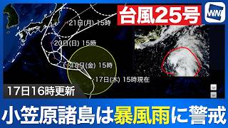 【台風25号 2026】大型の勢力で南鳥島近海を北へ進む 小笠原諸島は暴風雨に警戒（17日16時更新）