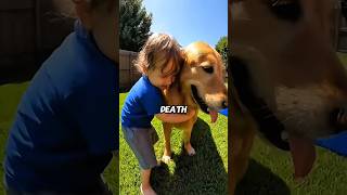 Download lagu He Thought The Dog Was Attacking His Baby... Until He Looked In The Water 😱🕷️ #shorts #dog mp3 Download lagu He Thought The Dog Was Attacking His Baby... Until He Looked In The Water 😱🕷️ #shorts #dog mp3