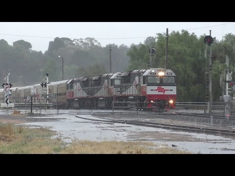5PM9 - SCT002 SCT013 SCT012 - Stawell - 31st Jan 2016