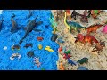 Dinosaurs On The Beach Water Dinos And Land Dinos T Rex Velociraptor And Many More