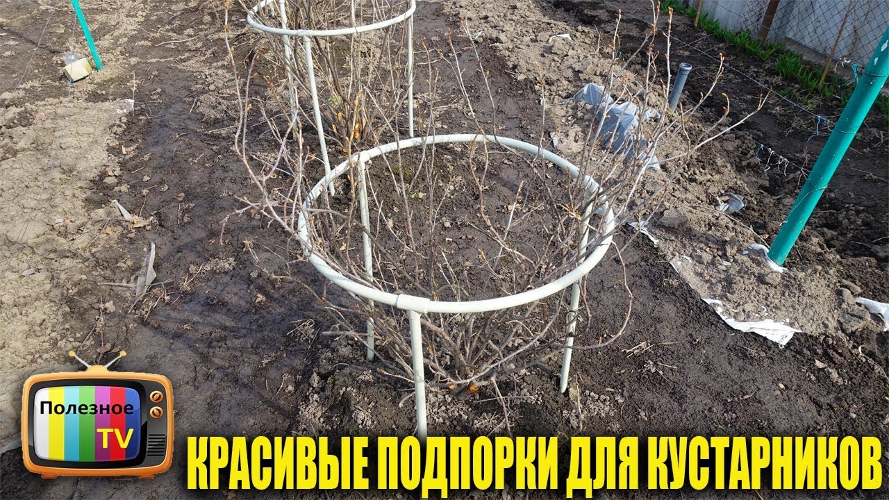 Ограждение для кустов из полипропиленовых труб своими руками фото чертежи и размеры