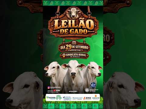 LEILÃO GADO DE CORTE - SINDICATO RURAL DE MINAÇU GO - 29/09/2026