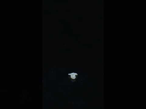 YouTube 썸네일