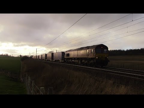 66102 on 4E99 Mossend Euroterminal to Tess Dock at Cartland 21/2/19