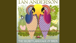 The Secret Language Of Birds, PT II