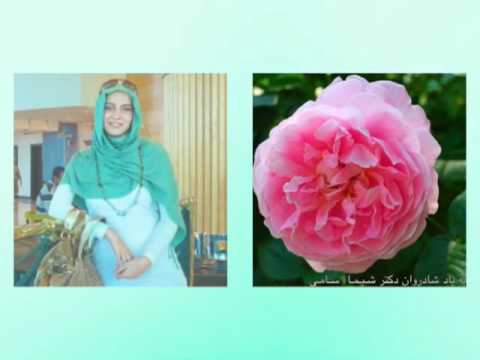 In memory of Sheima Sami (1982-2011) a video tribute by Golbarg Bashi