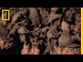 240 Tons of Bats | National Geographic
