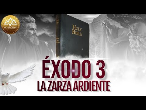 EXPLICACIÓN ÉXODO 3 // LA ZARZA ARDIENTE #biblia