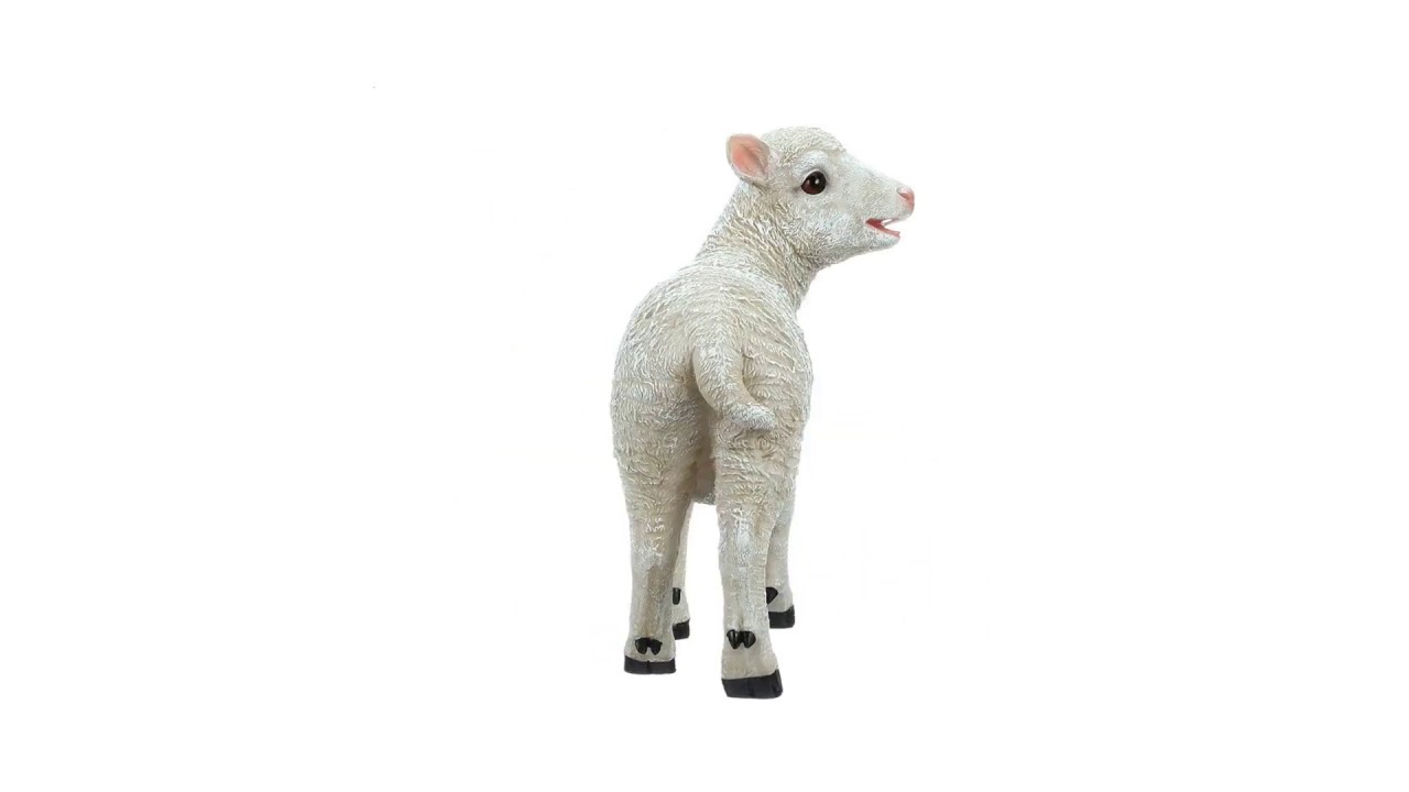 Yorkshire Lamb Garden Statue: Standing Lamb Video