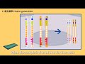 DNA Sequencing Next Generation Sequencing Method NGS