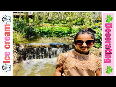 Exciting IceCream 🍦