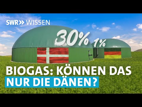 , title : 'Mais, Mist und Methan. Ist Biogas eine Alternative zu Erdgas? | SWR Wissen'