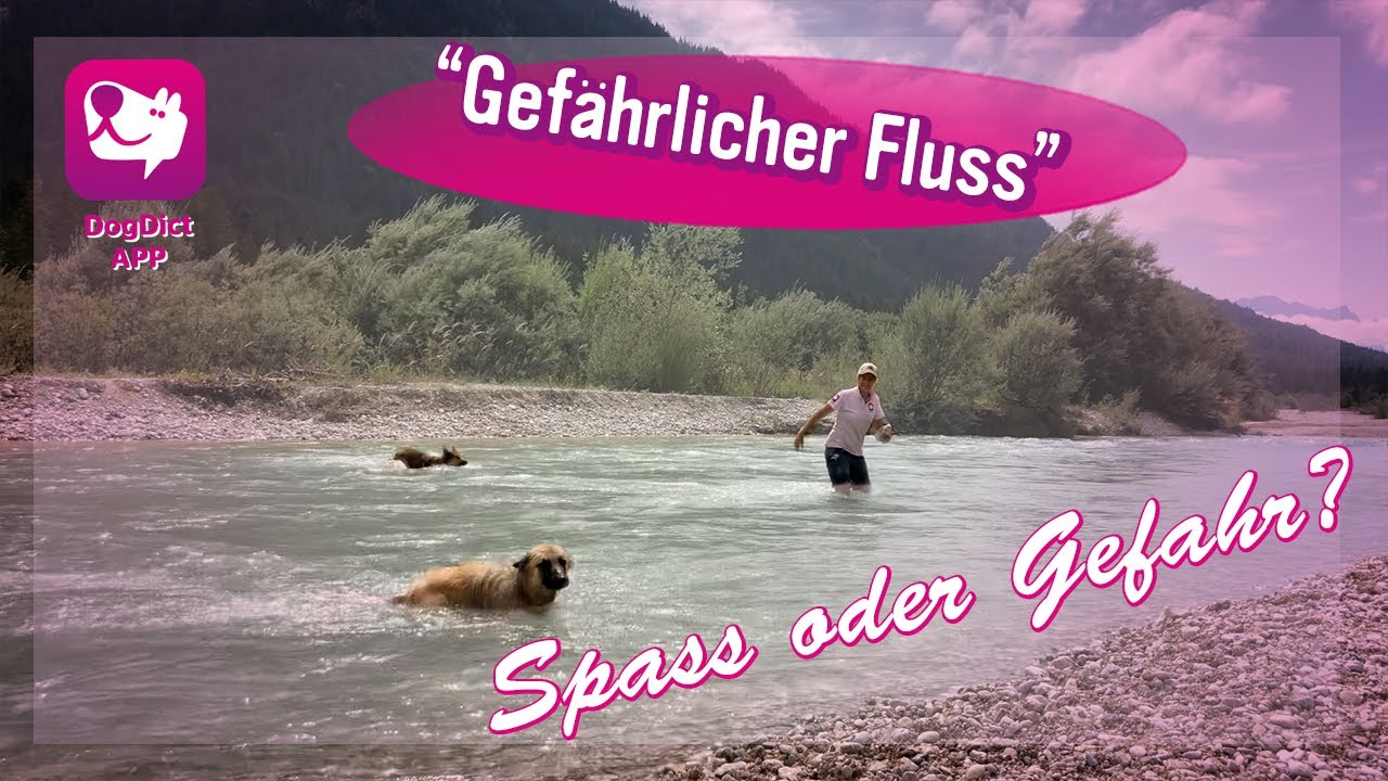 Folge 52: Vorsicht gefährlicher Fluss