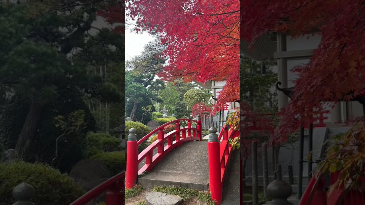 YouTube Short thumbnail