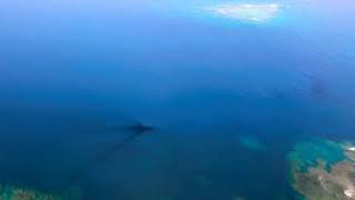 ３分間飛行〜那覇空港着陸直前の海の景色
