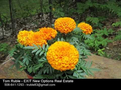 34 Noel Dr, Ashburnham MA 01430 - Single Family Home - Real Estate - For Sale -