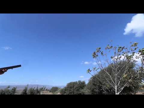 Huntig warwar Aidamoun