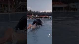 Download lagu tiktok main basah basahan mp3