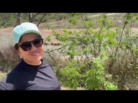 Cachoeira Ponte do Crioulo (Rio Lambari) - Perdigão/ Araújos Minas Gerais