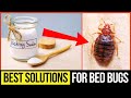 Most Effective Bed Bug Home Remedies That Actually Work