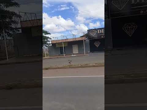Alexania  Goiás  Cidade  Próxima  a Brasília DF