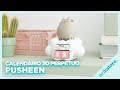 Video: Calendario Perpetuo Pusheen Cat Purrfect Love 3D 13 cm