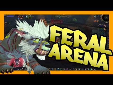 Feral Arena: 2v1 High(ish) mmr