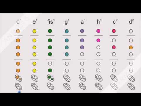 Jak zagrać na flecie - Happy Birthday ♪♫♪