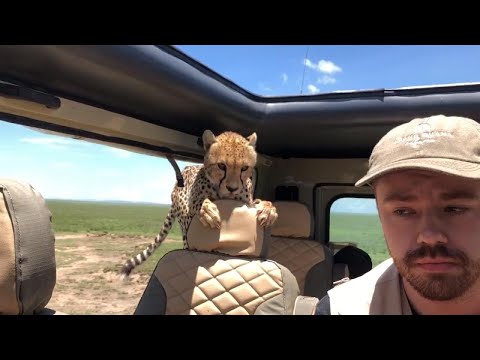 YouTube Thumbnail