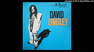 David Lindley - Your Old Lady