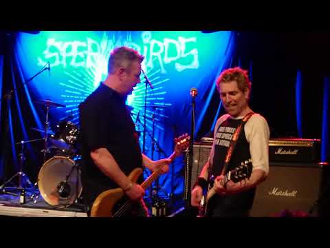 SPERMBIRDS - 2023-03-25 - Reutlingen, Germany - [franz.K] - 15 Songs Live Set