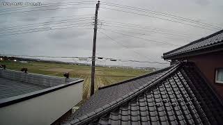 山形県酒田市下安町ライブカメラ live webcam