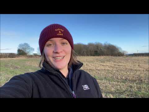 Watch Tamara discuss her placement at the Game and Wildlife Conservation Trust to get a feel for life in the School of Biological Sciences. play video