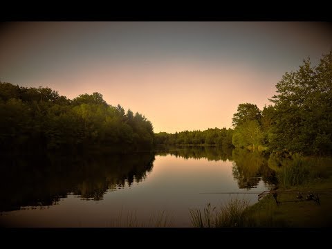 Le Moulin de Graffeuil 2019. The hunt for Monster Carp