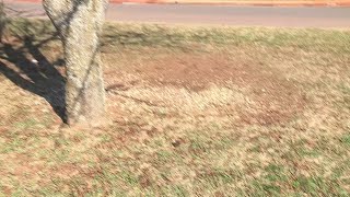 Download lagu Stolen blessing box won’t stop Oklahoma City woman from helping neighbors mp3