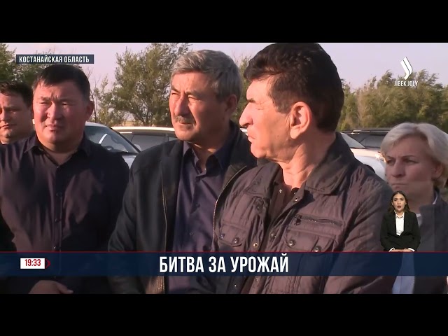 Битва за урожай